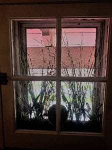 Window with decorative grass between the storm door and outside door