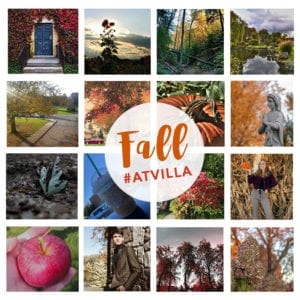Image collage displaying fall photo contest entries