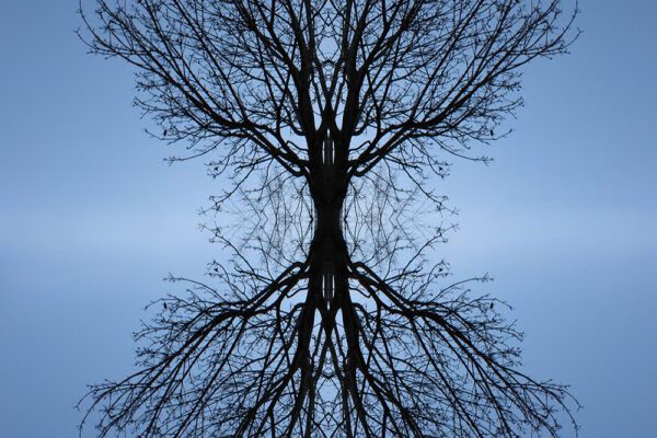 Nicole_Chen_Serene_Solitude